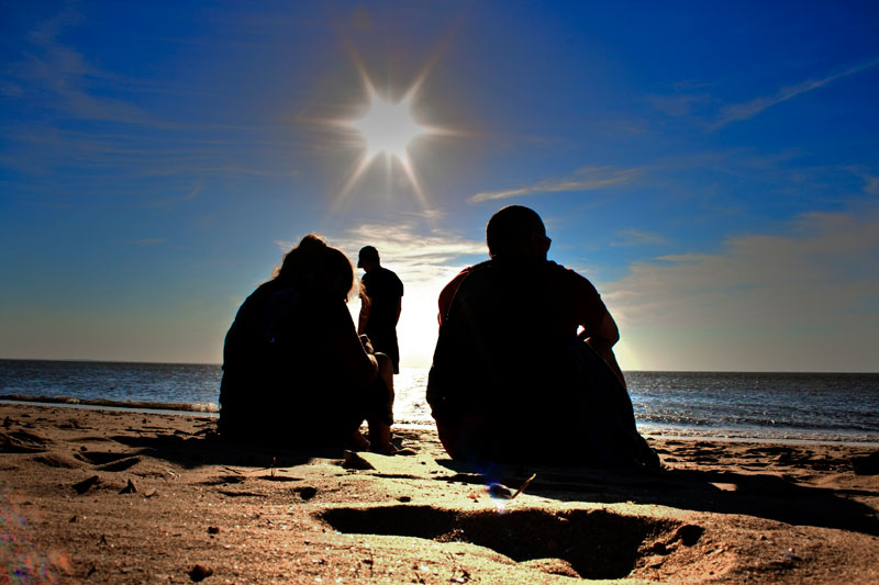 A day at the beach