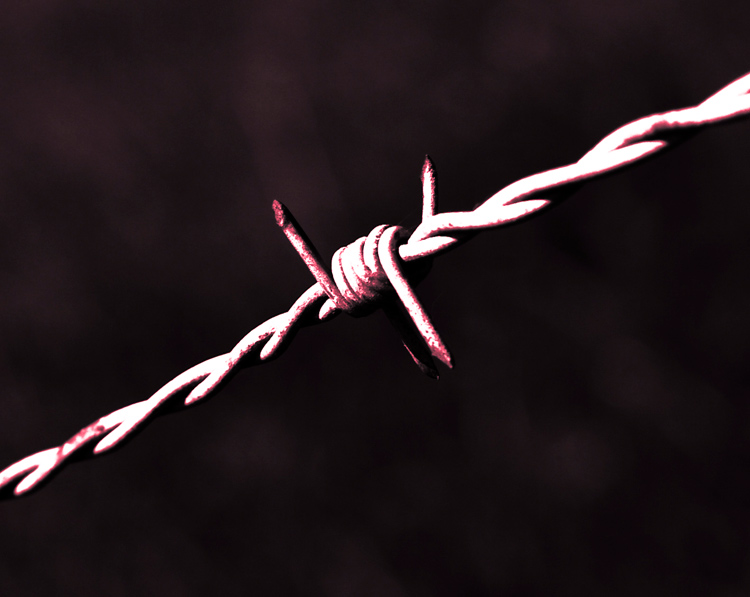 Pink barbed wire - #1