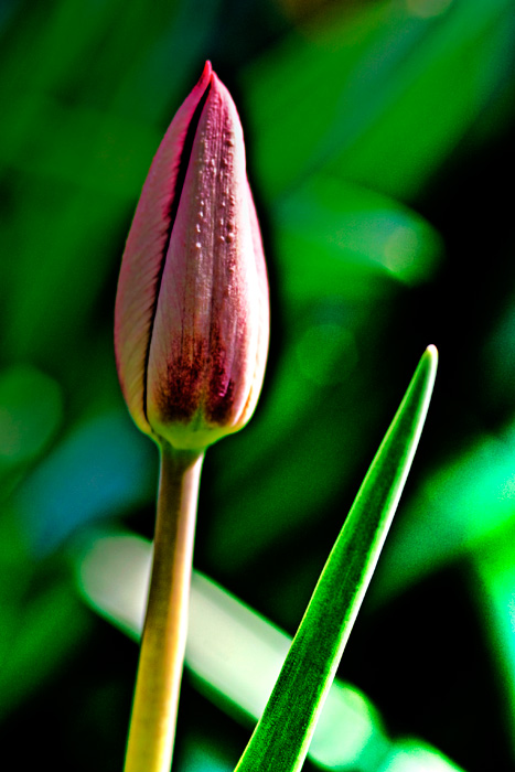 ... ok, plutôt un p\'tit coup de printemps alors :)